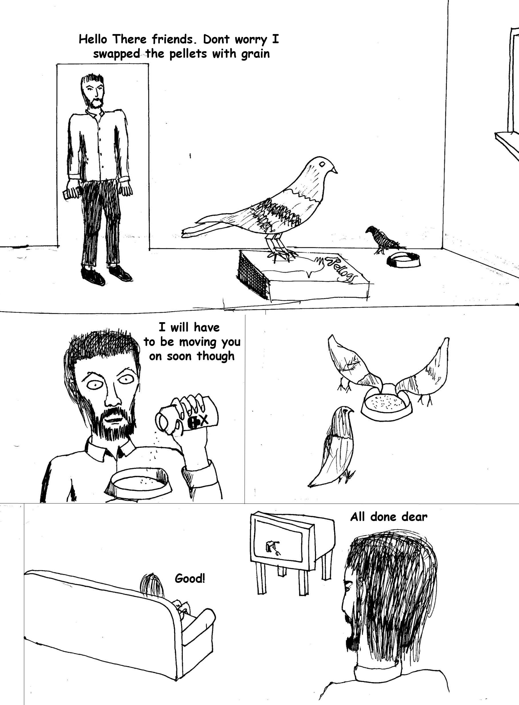 Otherside comic -pigeon 2